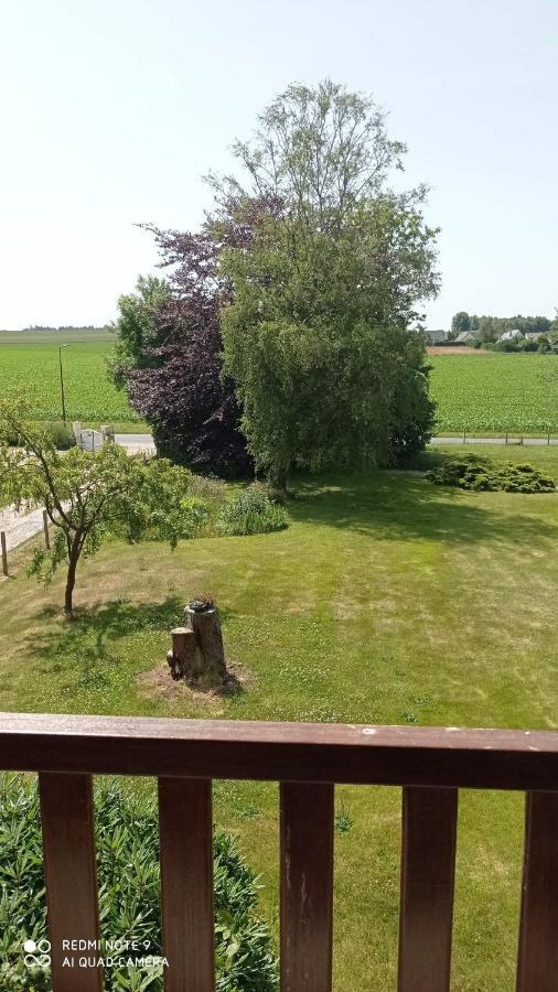 La Bella 12 - Appartement Gite Dans Maison D'Hotes Bordeaux-Saint-Clair Eksteriør billede