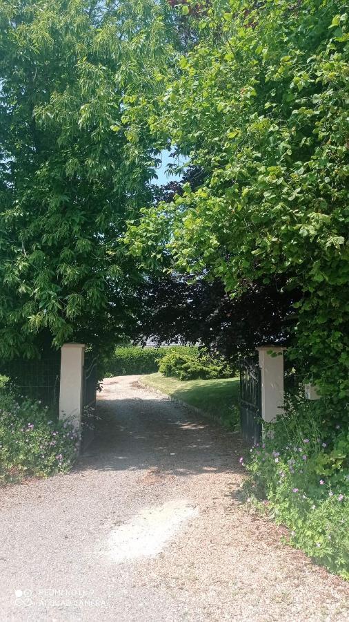 La Bella 12 - Appartement Gite Dans Maison D'Hotes Bordeaux-Saint-Clair Eksteriør billede